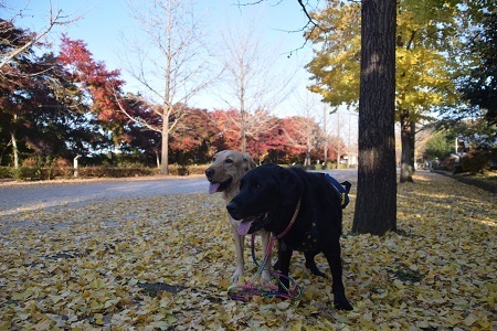 20112012.jpg