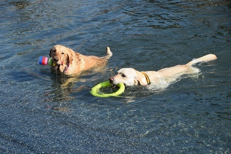 20112107.jpg