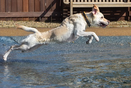 20112108.jpg