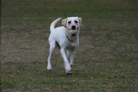 20112301.jpg