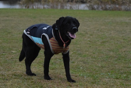 20112303.jpg