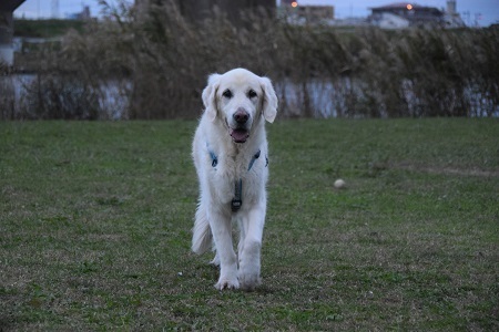 20112304.jpg