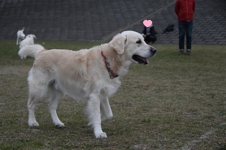 20112305.jpg