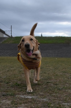 20112306.jpg