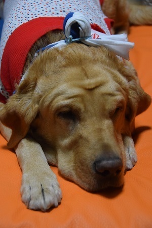 20112309.jpg