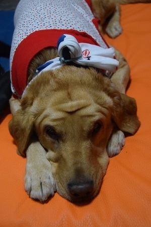 20112311.jpg
