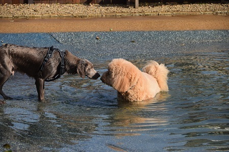 20112409.jpg