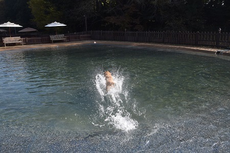 20112417.jpg