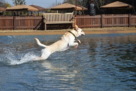 20112502.jpg