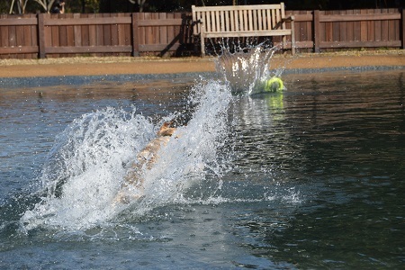 20112508.jpg