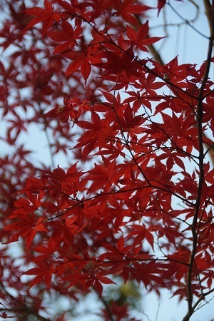 20112903.jpg