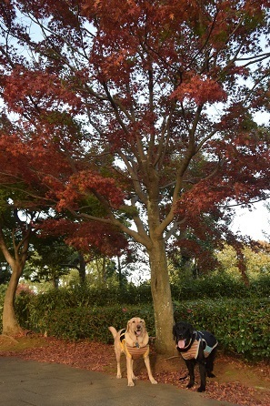 20112905.jpg