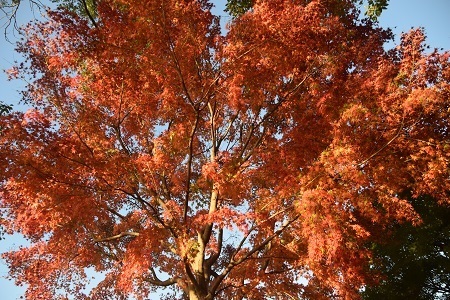 20112906.jpg