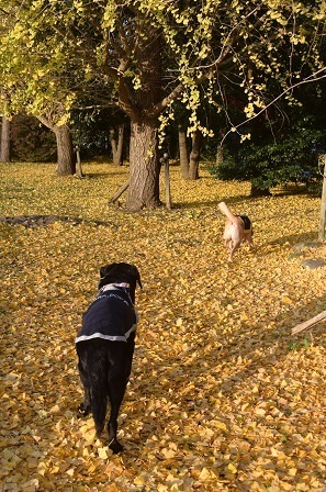 20112908.jpg