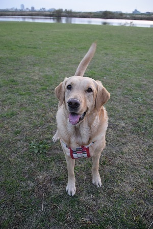 20113002.jpg