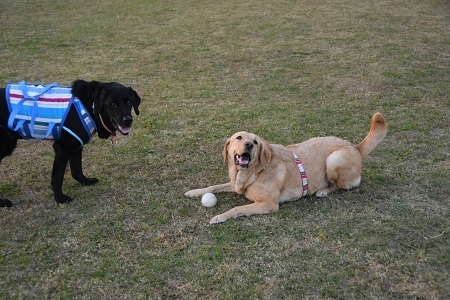 20113004.jpg