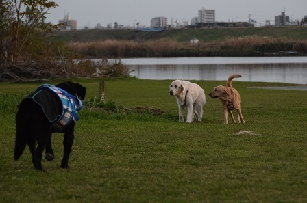 20113006.jpg