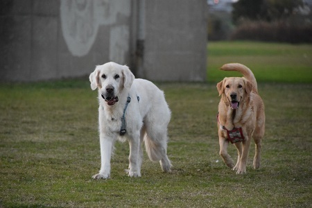 20113008.jpg