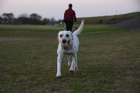20113009.jpg