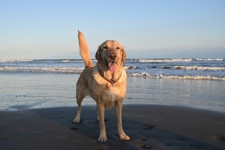 20120103.jpg