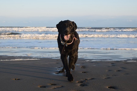 20120104.jpg