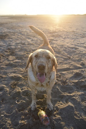 20120105.jpg