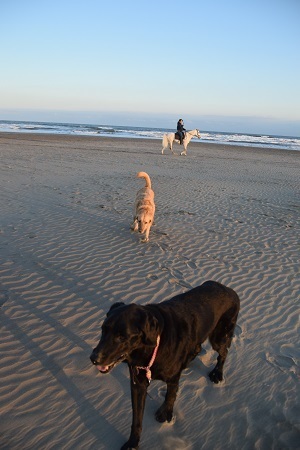 20120106.jpg
