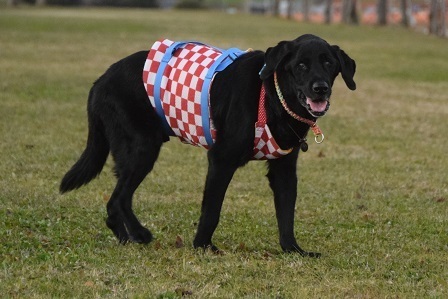 20122501.jpg